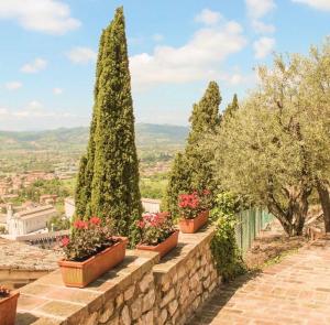 a stone retaining wall with plants and trees at Umbrian cottage in Gubbio