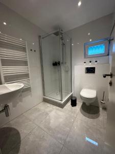 ein Badezimmer mit Dusche, Toilette und Waschbecken in der Unterkunft Ferienvilla 10 Minuten vom Strand in Dirkshorn