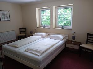 1 dormitorio con 2 camas y 2 ventanas en Hotel Forsthaus Glüsing, en Schnakenbek