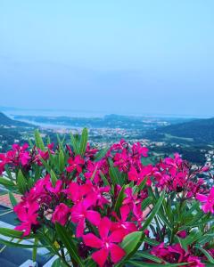 RoeにあるVilla Bellavista - private pool Garda Lakeの山頂のピンクの花束