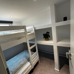 ein Etagenbettzimmer mit zwei Etagenbetten und einer Pflanze in der Unterkunft Ferienvilla 10 Minuten vom Strand in Dirkshorn