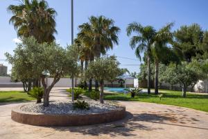 un parc avec des palmiers et une fontaine dans l'établissement La Perla Di Mare - Gemma, à Mazara del Vallo