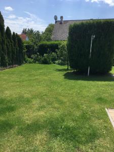 een tuin met een groot grasveld met een heg bij Zsuzsa Vendégháza in Balatonfüred