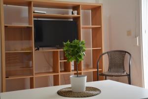 a plant sitting on a table in front of a tv at Apartamento Salitre in Puertito de Güímar
