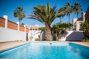 a swimming pool with a palm tree next to a building at Casa Velero to 100mt from beach , optical fiber in La Oliva