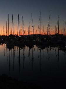 伯克利的住宿－Garden Home，日落时分在港口的一组帆船