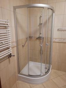 W łazience znajduje się prysznic ze szklanymi drzwiami. w obiekcie Hotel Leliwa w mieście Leśna