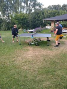 Stolní tenis v ubytování Apartments Cederika nebo okolí