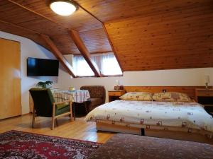 una camera con letto e tavolo con TV di U Hübnerů a Albrechtice v Jizerských horách