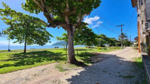 a tree on the side of a road at Hostel Na Praia - Hospedagens e eventos in Ubatuba