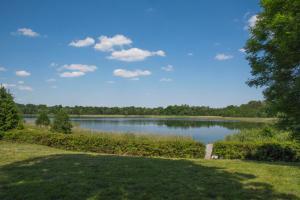 a view of a lake in a park at Dom nad jeziorem Granicznym in Stary Żabin +18 photos