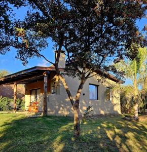 a small house with a tree in front of it at Cabañas Altos de San Blas in San Javier