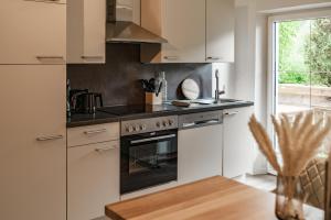 Kuchyň nebo kuchyňský kout v ubytování Kesselgrubs Apartements Ski & Badeglück