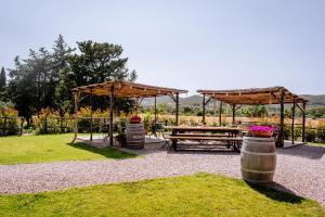 miejsce piknikowe ze stołem piknikowym i parasolami w obiekcie Agriturismo Giù al Pozzo w mieście Gavorrano