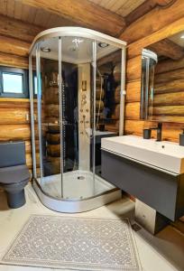 a bathroom with a shower and a sink and a toilet at Cabana Arsita Poienii in Borsa