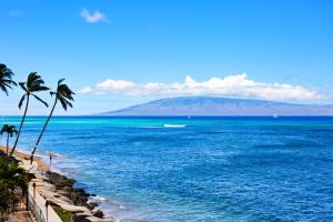 Příroda nedaleko apartmánu + 36 fotografií