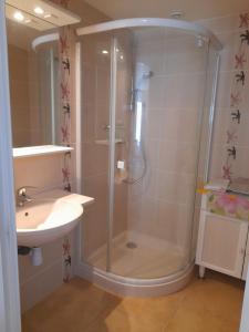 uma casa de banho com um chuveiro e um lavatório. em Chambre d'hôte La Blénie em Gignac