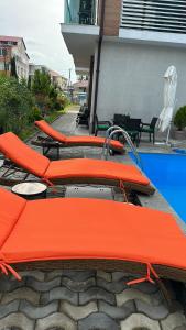 Bazén v ubytování Aparthotel Alfa nebo v jeho okolí