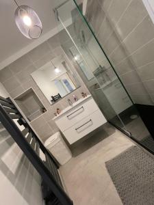 La salle de bains est pourvue d'une douche en verre et d'un lavabo. dans l'établissement CLéMenCeau - MaRaiS - CaThéDraLe, à Bourges