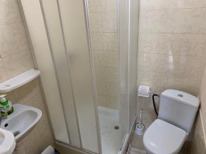 a bathroom with a shower with a toilet and a sink at Садиба «Під ліском» in Pulʼmo