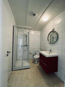 y baño con ducha, lavabo y aseo. en Gullingen Turistsenter, en Gullingen