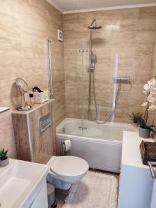 Koupelna v ubytování Island luxury view Nemira