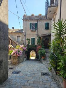 un callejón en un antiguo edificio con flores y plantas en Domus Claudia, en Castiglione in Teverina