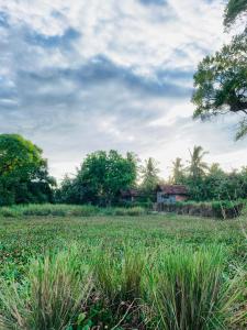 ein Grasfeld mit einem Haus im Hintergrund in der Unterkunft Lake Cabin in Polonnaruwa