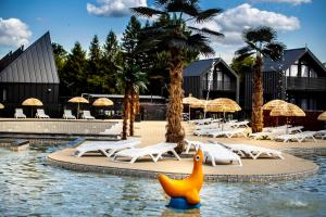 a pool with chairs and a rubber duck in the water at Wioska Wakacyjna Radawa in Radawa