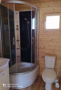 a bathroom with a shower with a toilet and a sink at Domki Family Rowy in Rowy