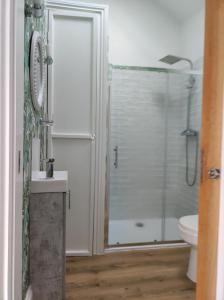 a bathroom with a shower and a sink and a toilet at Tree Fern Barn in St Austell
