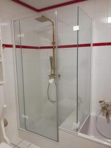 um chuveiro com uma porta de vidro na casa de banho em Rot-Weiss em Bad Zwischenahn
