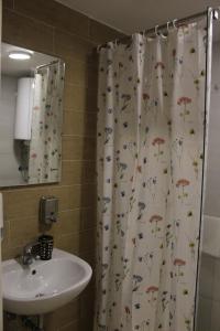 uma casa de banho com um lavatório e uma cortina de chuveiro em Domini LakeView Apartment em Mavrovo