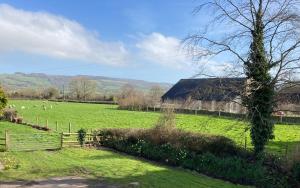 a field of green grass with a barn and sheep at Ashes Farm Cottage in Kilmington