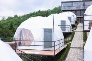 an igloo house on the side of a building at Signagi Glamping in Sighnaghi