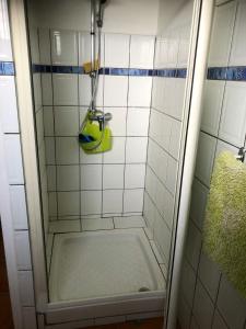 a bathroom with a shower with a cleaning brush at Appartement charmant à Sainte-Anne - 45 m² avec vue sur le jardin in Sainte-Anne +6 photos