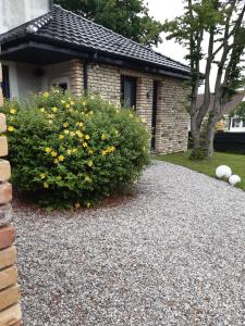 Zahrada ubytování Bulles d'un soir Gite SPA