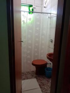 a bathroom with a toilet and a shower at Pouso Tião da Morena in Pirenópolis
