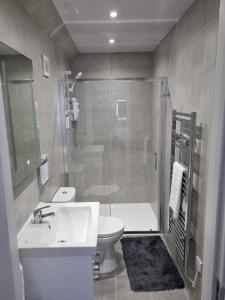 a bathroom with a shower and a sink and a toilet at The Coppice-Private Studio Guest Suite With Private Entrance in Watford