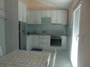 Kitchen o kitchenette sa Apartment Villa Dobrijevic -Seljanovo