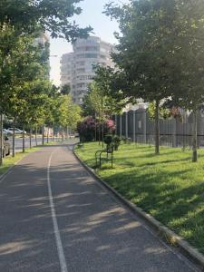 a road with a park with trees and a bench at Lola’s Apartment in Durrës
