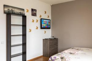 Телевизор и/или развлекательный центр в Апартаменты Мост Сити Центр