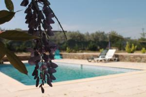 The swimming pool at or close to Quinta do Adil