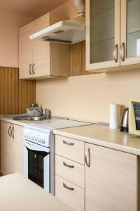Кухня или мини-кухня в Апартаменты Мост Сити Центр
