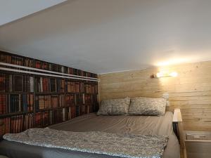 a bedroom with a bed and a wall of books at Studio Gare&centre de Grenoble in Grenoble