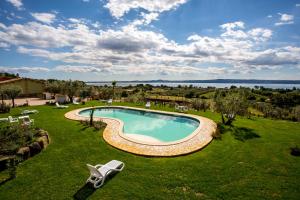 an image of a swimming pool in a yard at Agriturismo Parco di Canuleio in Bolsena