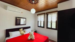 two teddy bears sitting on a bed in a bedroom at Denis House - Private Rooms -Guest House-Hotel-Gjirokastra in Gjirokastër