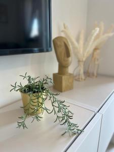 roślina siedząca na blacie z telewizorem w obiekcie Luxury apartment Golden Mint w Novalji