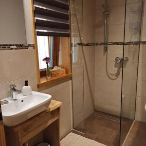 a bathroom with a sink and a shower at Ferienwohnung Morgenrot in Pfronten