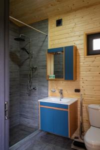 a bathroom with a blue sink and a shower at Gorai in Kazbegi